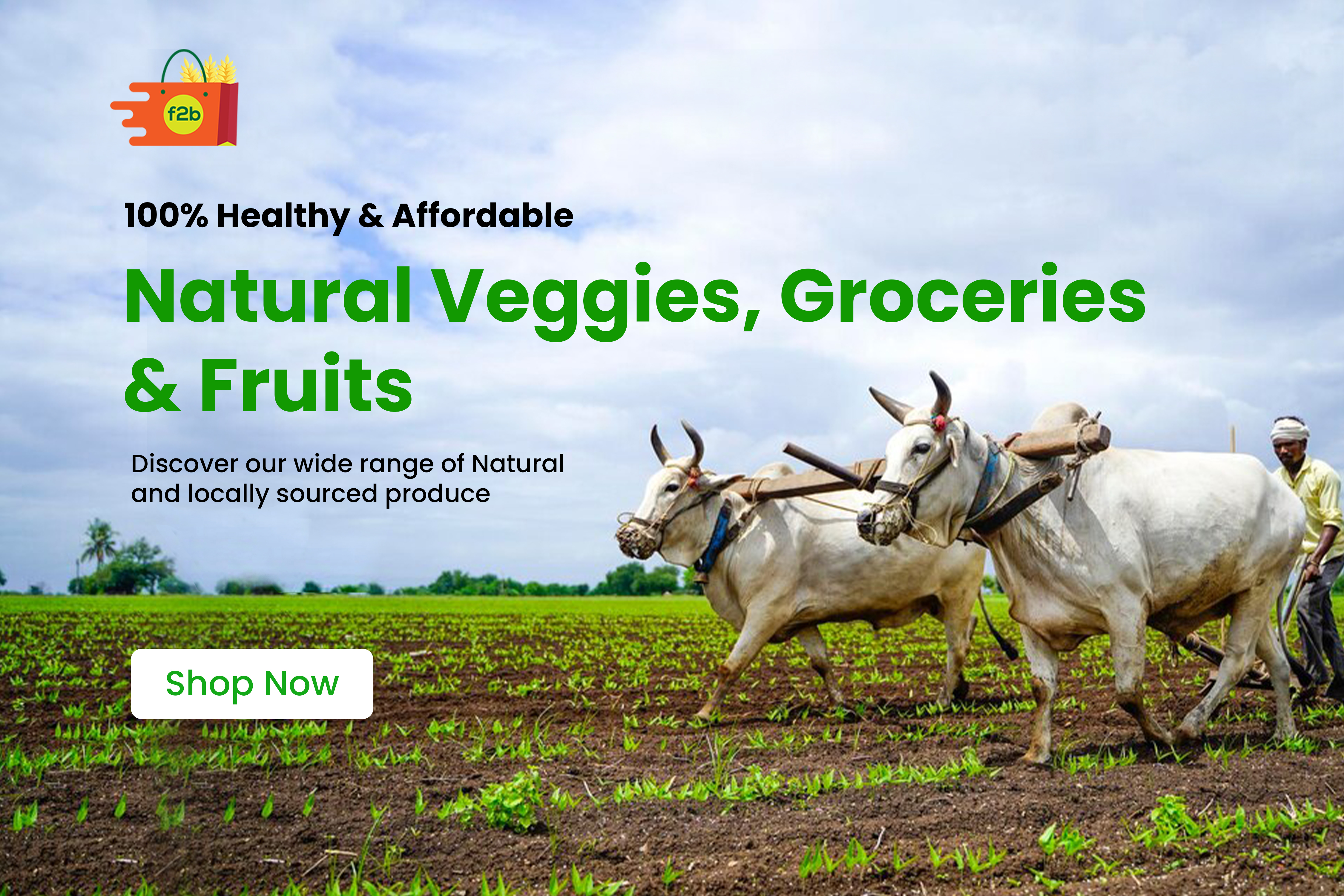 Try Fresh Healthy Breakfast on Morning